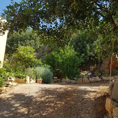 Villa Ikarus Triopetra Extérieur photo