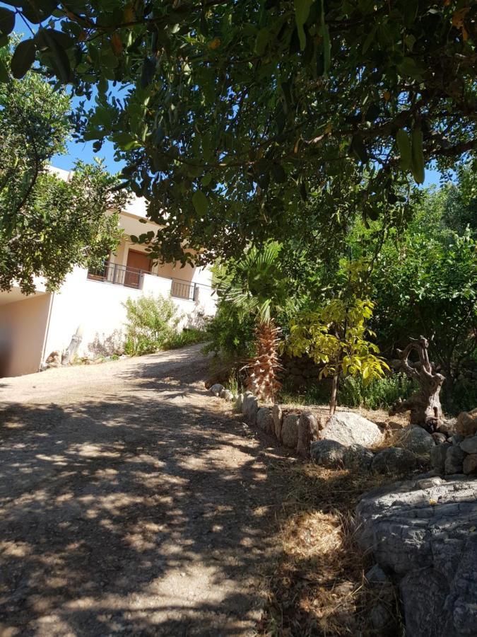 Villa Ikarus Triopetra Extérieur photo